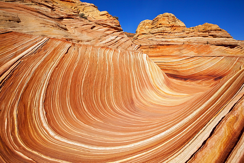 The Wave, rock formation in Coyote Buttes North, Paria Canyon-Vermilion Cliffs Wilderness, Utah, Arizona, USA