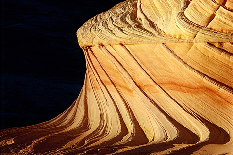 Sandstone formation in Paria Sandhills, Vermillion Wilderness, Utah, U.S.A