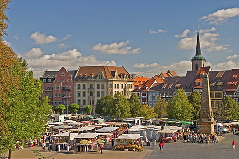 BRD Germany ThÃ¼ringen Free State ThÃ¼ringen Erfurt City of University Capital since 1990 Landmark of the 1250 Years old City is the Cathedral Hill with two Churches Arrangement Cathedral built 1154 to 1465 Severi Church built 1280 to 1335 at the Cathedra