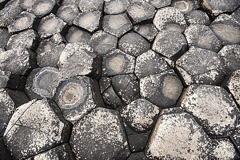 Basaltic rocks, hexagons seen from above, Giant's Causeway, Coleraine, Northern Ireland, United Kingdom, Europe