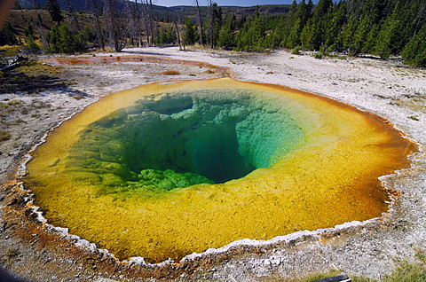 Hot spring, Yellowstone national park, Wyoming, USA