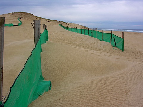 Protection fence against sand drifts on a beach