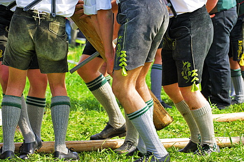 Men with leather trousers putting up a maypole, detail, Egmating, Upper Bavaria, Bavaria, Germany