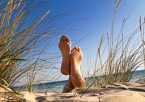 Men's feet in a sand dune by the sea