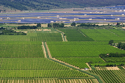 Salines of Secovlje at the Adriatic coast - Slovenia