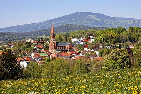 Zwiesel, Bayerischer Wald, Lower Bavaria, Germany