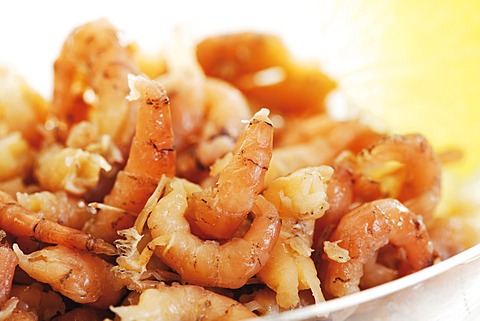 North Sea prawns