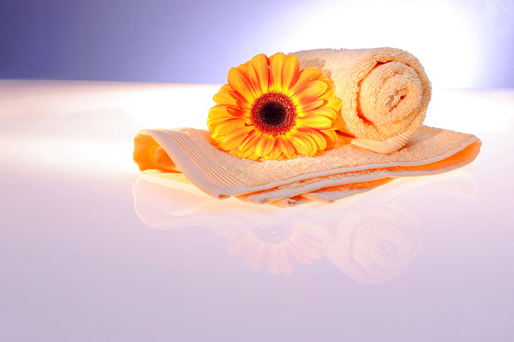 Terry cloth towel with gerbera, wellness