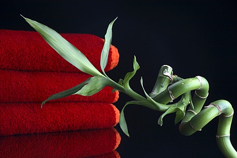 Bomboo and towels