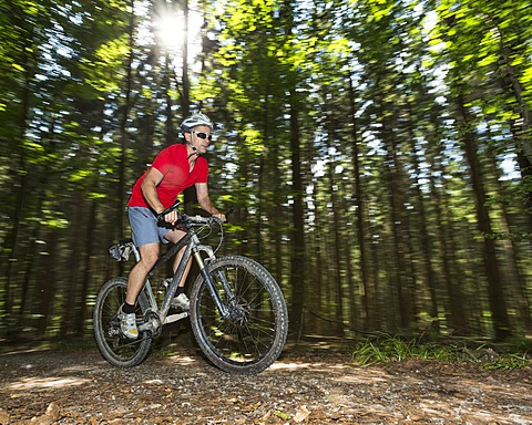 Cyclist on a mountainbike riding through a forest, Schurwald forest, Winterbach, Baden-WâˆšÂºrttemberg, Germany