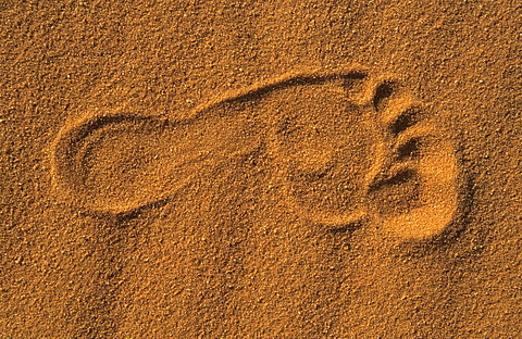 Foot print in the sand