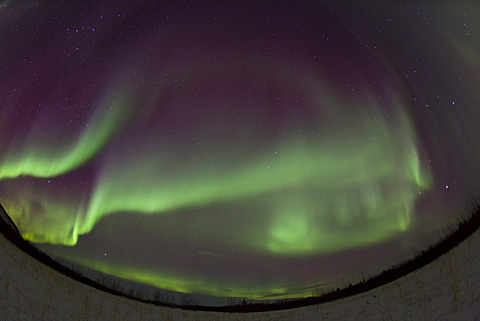 Swirling northern polar lights, Aurora Borealis, green, near Whitehorse, Yukon Territory, Canada