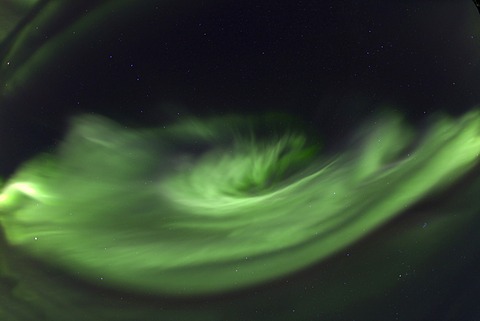 Swirling northern polar lights, rare overhead display, Aurora Borealis, green, near Whitehorse, Yukon Territory, Canada