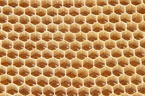 Honeycomb