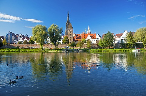 Panorama across the Danube River towards Ulm with Ulm Minster and Metzgerturm, Butchers Tower, Baden-Wuerttemberg, Germany, Europe, PublicGround