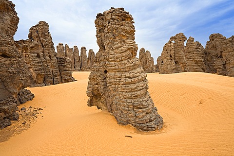 Stone desert, Tassili Maridet, Libyan Desert, Libya, Sahara, North Africa, Africa