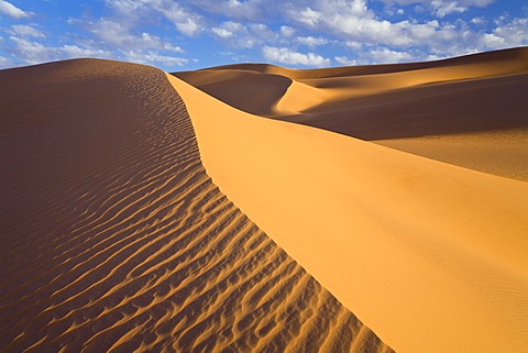 Sand dunes in the Libyan Desert, Sahara, Libya, North Africa, Africa