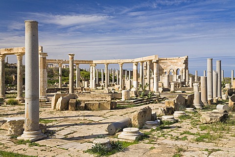 Punic market, Leptis Magna, Libya, North Africa, Africa