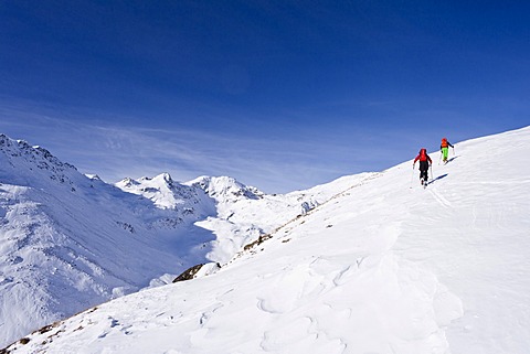 Ski touring in the ascent to the Kalfanwand in Val Martello, Stelvio National Park, Province of South Tyrol, Italy, Europe