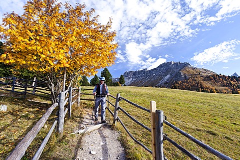 Climbers descending from Peitlerkofel in the Puez-Geisler Nature Park, here at the Gampenwiesen meadows, behind the Kreuzjoch, Dolomites, Province of South Tyrol, Italy, Europe