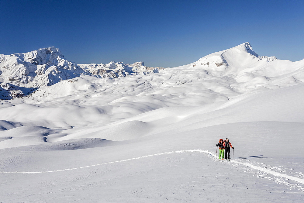 Ski mountaineers during the ascent of Mt Seekofel in the Fanes-Sennes-Prags Nature Park of the Dolomites, Mt Neuner at the back, Mt Seneser Karspitze on the right, St. Vigil, Puster Valley, South Tyrol, Italy, Europe