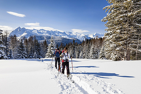 Ski tourers ascending the Cima Bocche at Passo Valles, behind the Colbricon, Parco Naturale Paneveggio, Pale di San Marino, Dolomites, Trentino, Italy, Europe