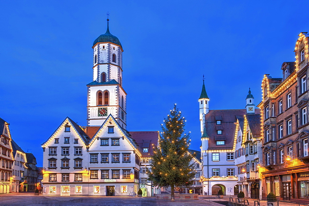 Historic buildings, market square, St. Martin parish church, town hall, "Des Esels Schatten" sculpture, Christmas tree, dusk, Biberach an der Riss, Baden-Wuerttemberg, Germany, Europe