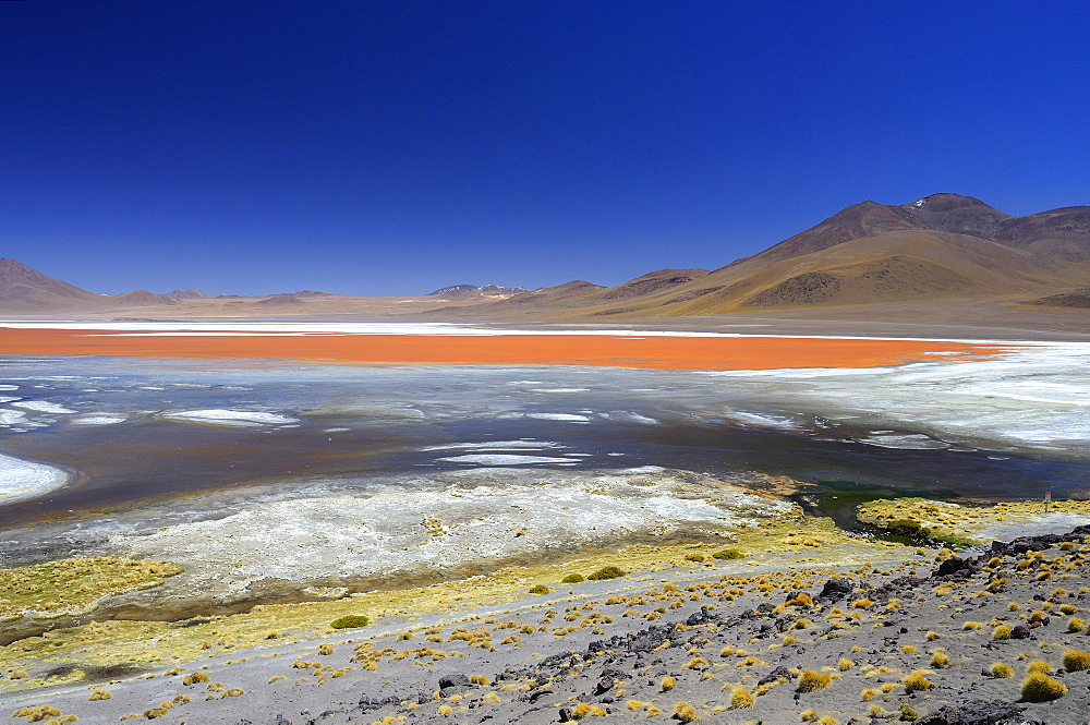 Play of colours of the Laguna Colorada, Reserva Nacional de Fauna Andina Eduardo Abaroa, Altiplano, Sur Lipez, Bolivia, South America