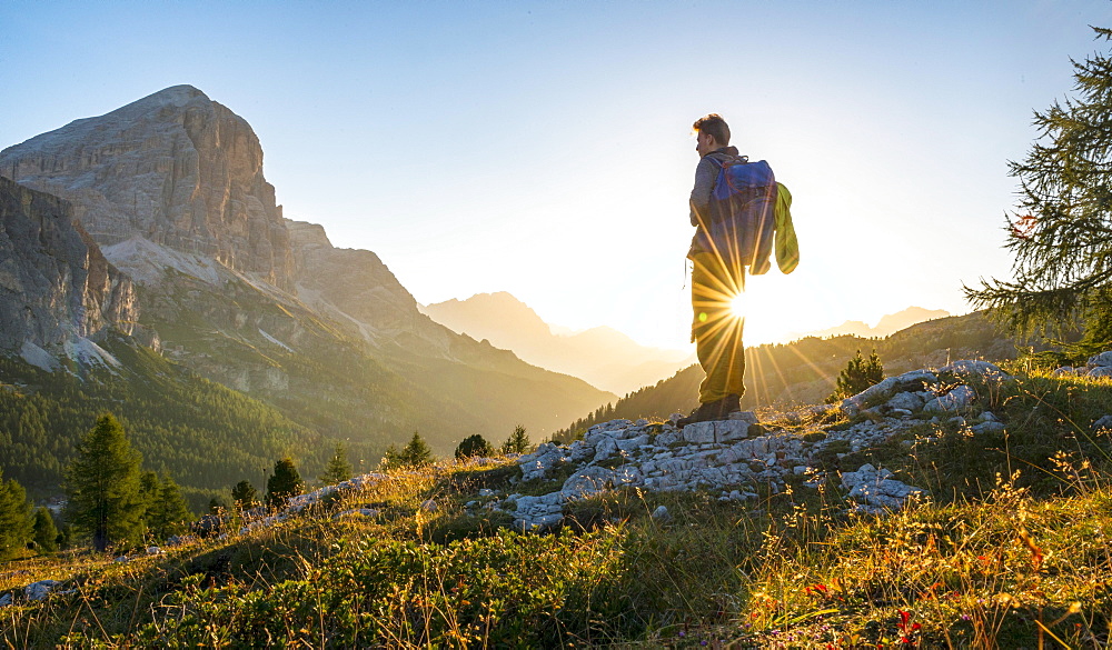 Hiker looking into the distance, sunrise, solar reflex in front of the Col dei Bos and Tofane peaks, Falzarego Pass, Dolomites, South Tyrol, Trentino-Alto Adige, Italy, Europe