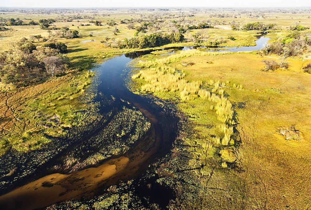 The Gomoti River with its adjoining freshwater marshland, aerial view, Okavango Delta, Botswana, Africa