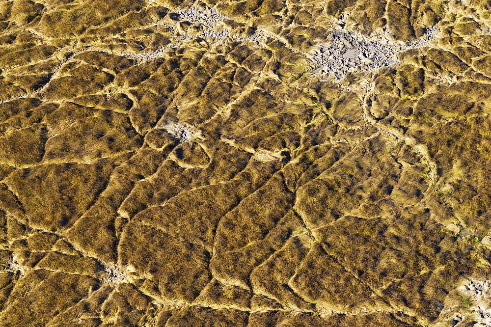 Marshland with animal trails and little muddy pools, aerial view, Okavango Delta, Moremi Game Reserve, Botswana, Africa