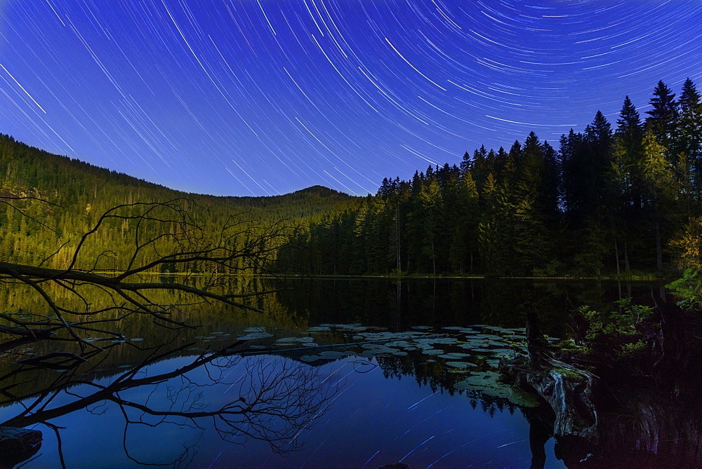 Großer Arbersee, night shot with moving stars and moonlight, Bavarian Forest National Park, Bavaria, Germany,, Europe