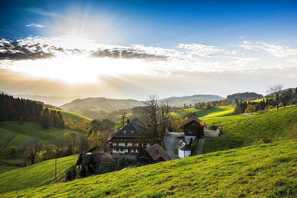 View of hilly landscape with farmhouse, near St Märgen, Black Forest, Baden-Württemberg, Germany, Europe