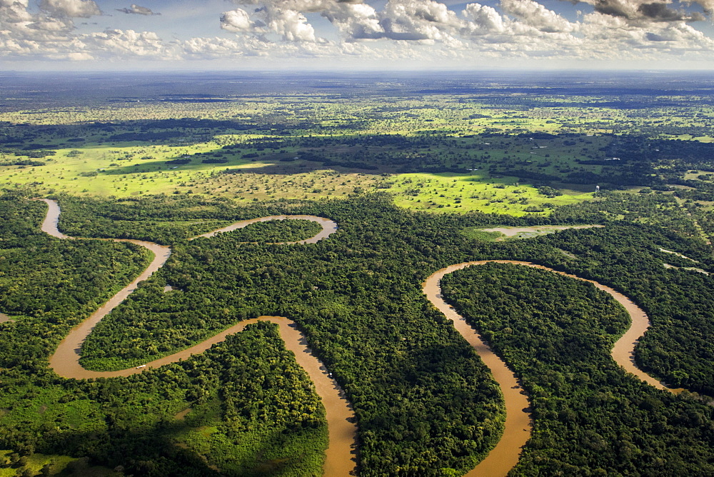 Rio Aquidauana flows through jungle, Pantanal, Mato Grosso do Sul, Brazil, South America