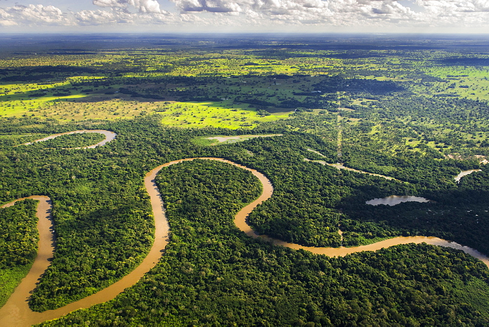 Rio Aquidauana flows through jungle, Pantanal, Mato Grosso do Sul, Brazil, South America