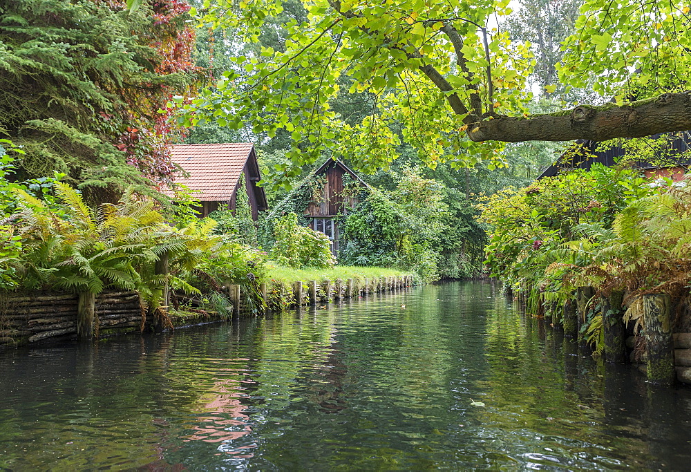 Tributary of the Spree river with small houses, Lübbenau, Spreewald, Brandenburg, Germany, Europe