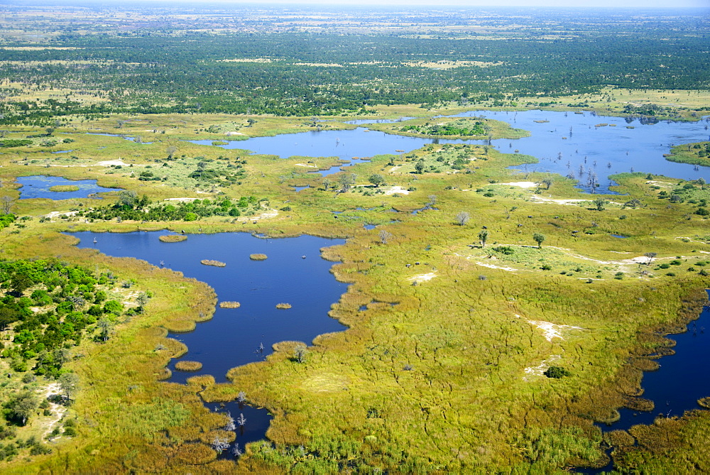 Aerial view, Okavango Delta, Botswana, Africa