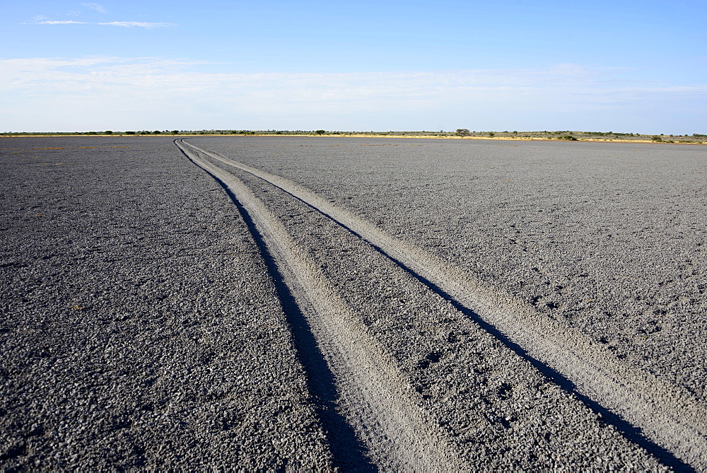 Tire tracks through Deception Pan in Deception Valley of the Central Kalahari Game Reserve, Botswana, Africa