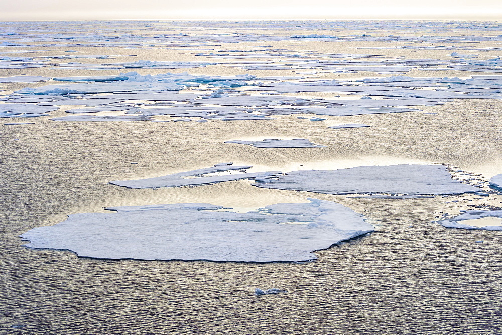 Arctic Ocean, 81° North and 26° East, Svalbard Archipelago, Norway, Europe