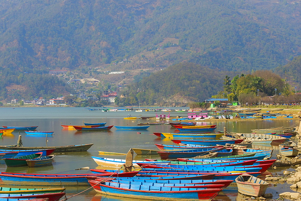 Colorful boats on Phewa Lake, Pokhara, Nepal, Asia