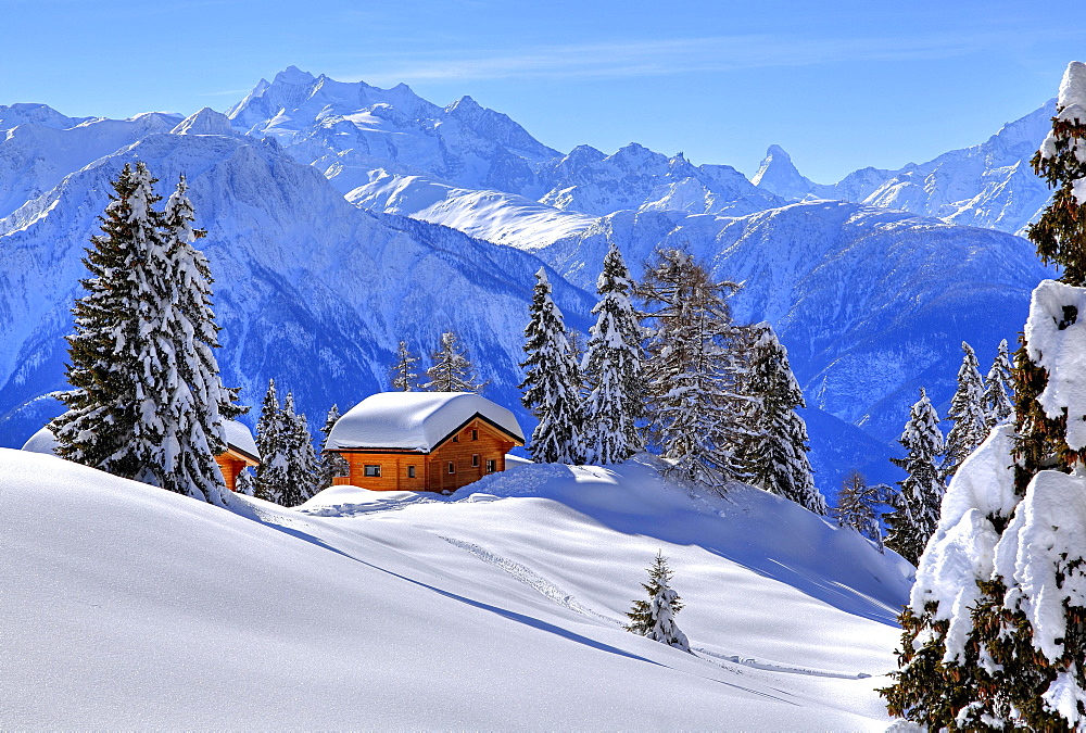 Winter landscape with deep snow-covered chalets, in the back summit of Dom, 4545m, and Matterhorn, 4478m, Riederalp, Aletsch area, Upper Valais, Valais, Switzerland, Europe