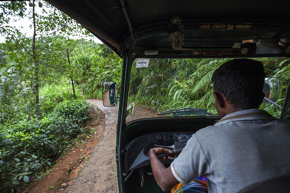 Tuk-tuk driver on small road, thick vegetation, Sinharaja Forest Reserve, Sri Lanka, Asia