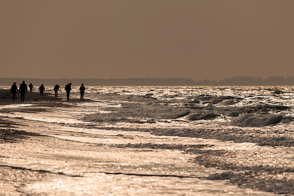 People on the beach by rough sea in the evening light, Darßer Ort, Fischland-Darß-Zingst, Western Pomerania Lagoon Area National Park, Baltic Sea coast, Mecklenburg-Western Pomerania, Germany, Europe