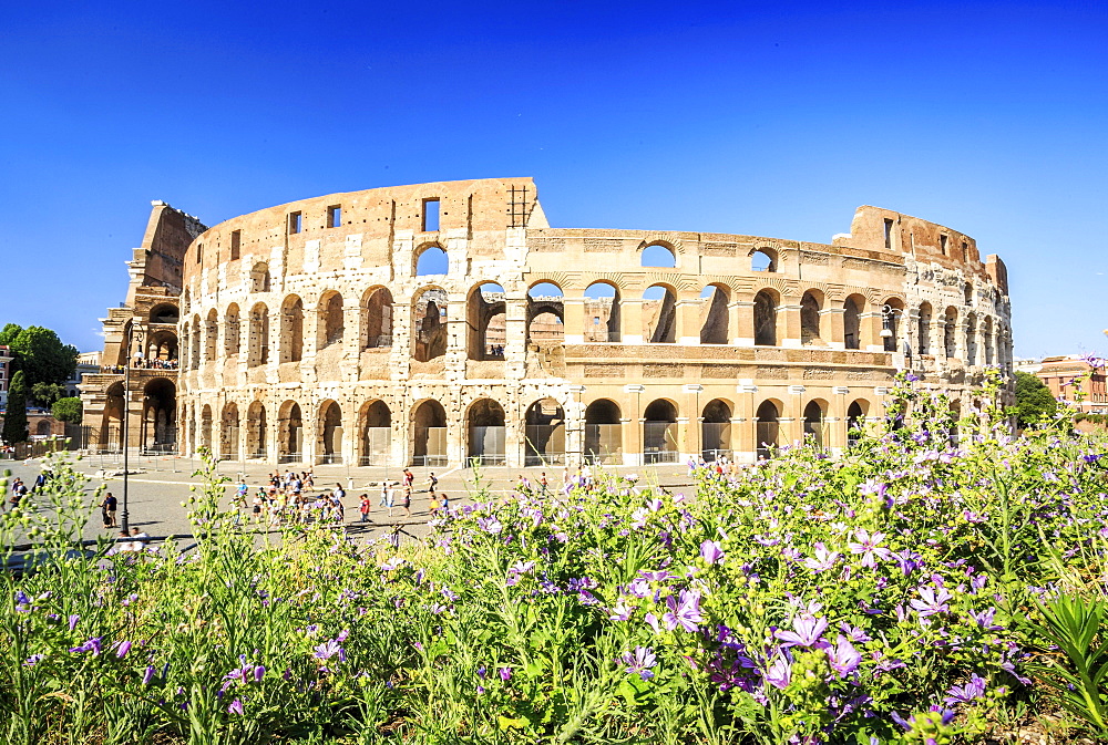 Colosseum, Rome, Lazio, Italy, Europe