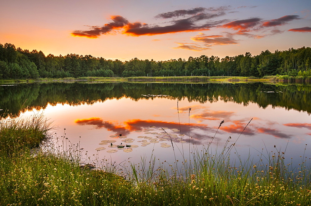 Lake with reflection in evening light, autumn, Schlaubetal Nature Park, wildlife reserve, Lieberoser moraine, Brandenburg, Germany, Europe