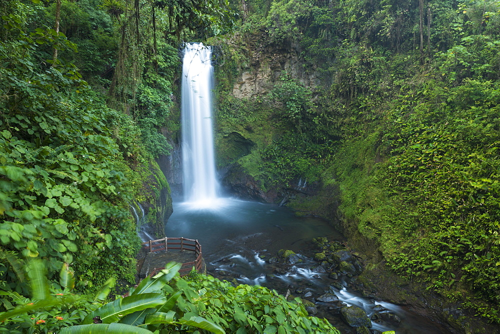 La Paz Waterfalls, La Paz Waterfall Gardens, Central Valley, Costa Rica, Central America