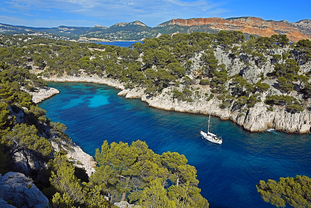 Calanque de Port Pin in front of Soubeyranes cliffs, Cassis, Calanques National Park, Provence, France, Europe