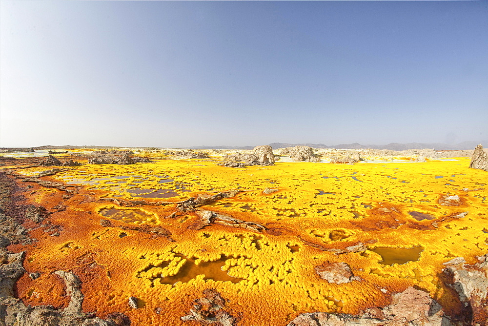 Sulphur sediments in the thermal area of Dallol, Danakil-Senke, Ethiopia, Africa