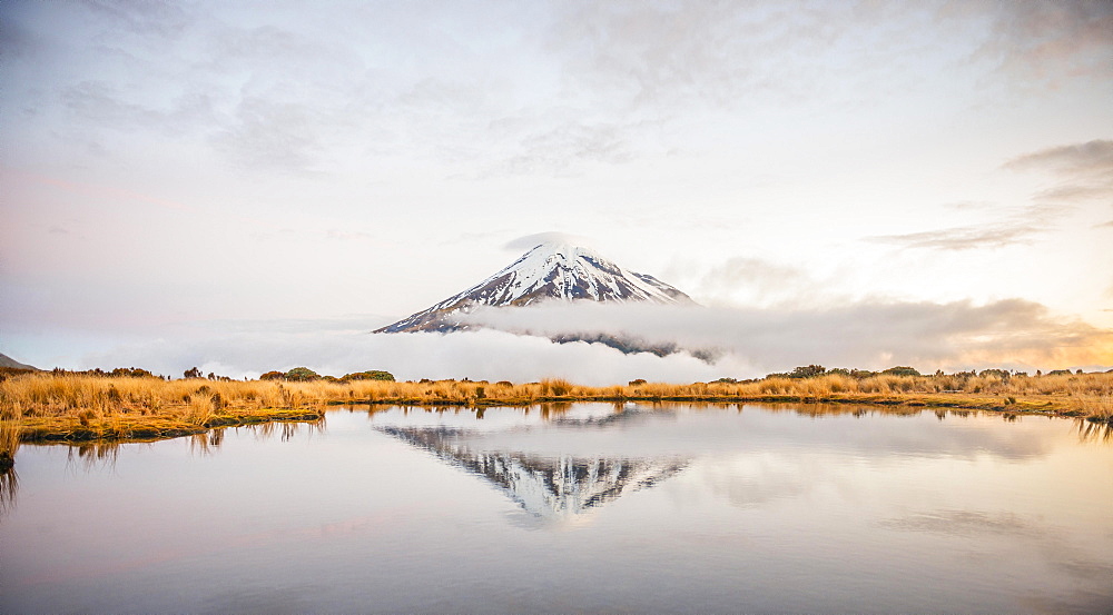 Reflection in Pouakai Tarn, stratovolcano Mount Taranaki or Mount Egmont at dusk, Egmont National Park, Taranaki, North Island, New Zealand, Oceania