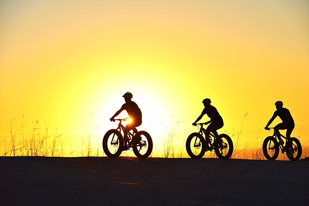 Three cyclists on fatbikes backlit at sunset, Plaat Beach, Nature Reserve, De Kelders, Gansbaai, Western Cape, South Africa, Africa